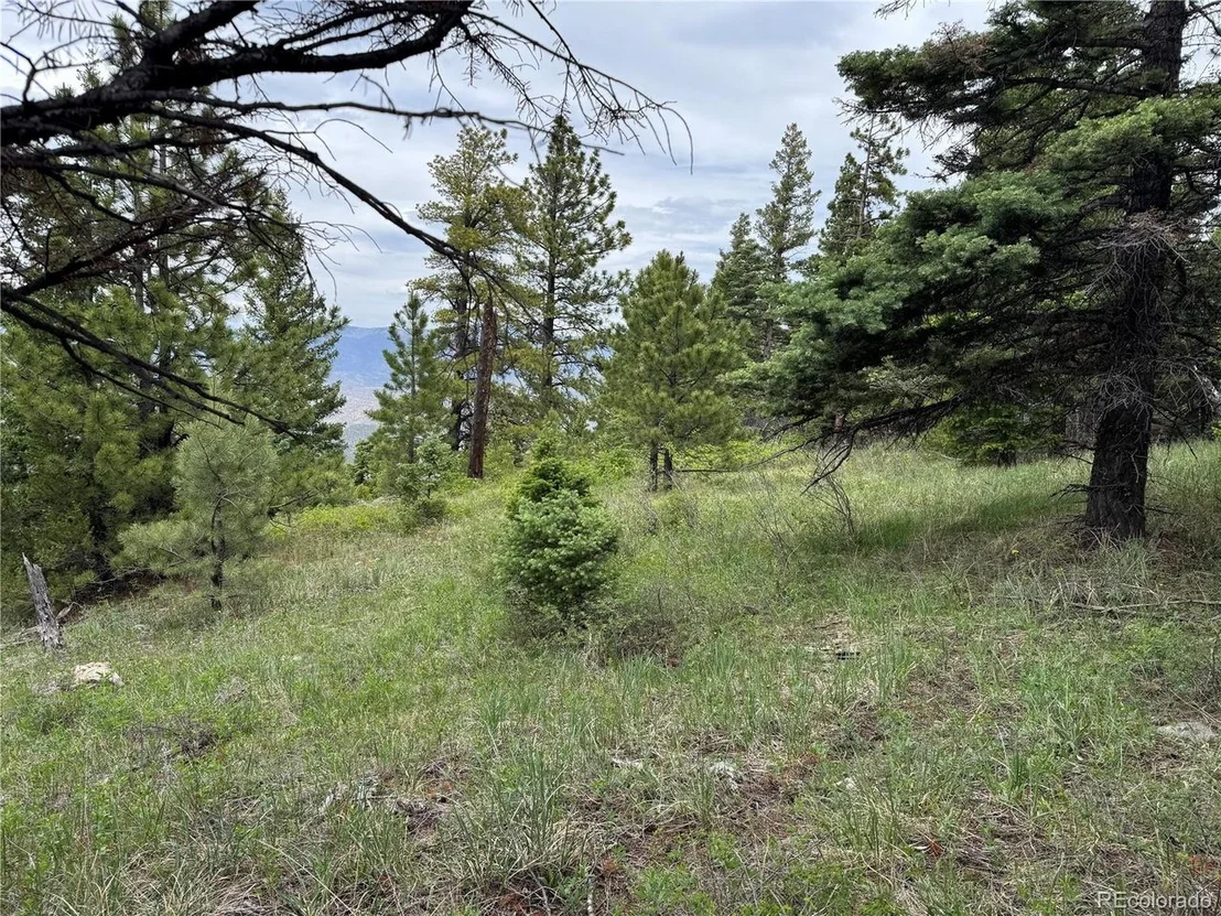 Photo of Knotty Pine Rd