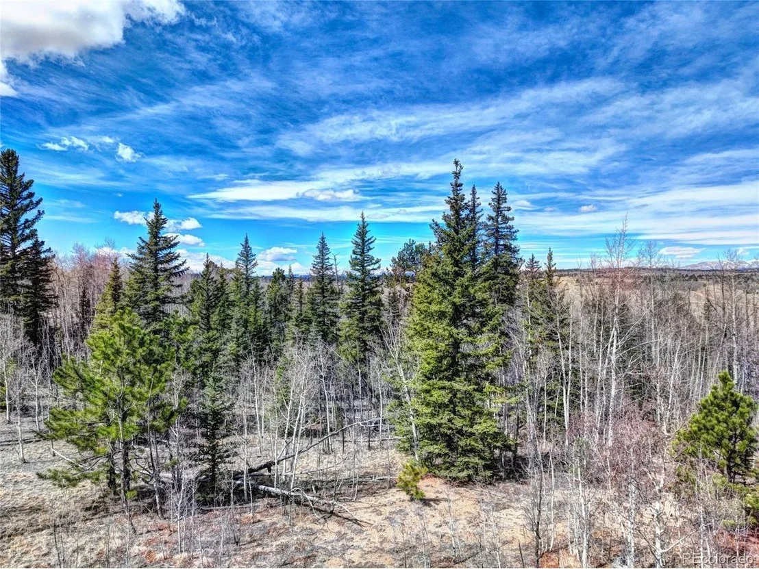 Photo of 101 Patch Ct