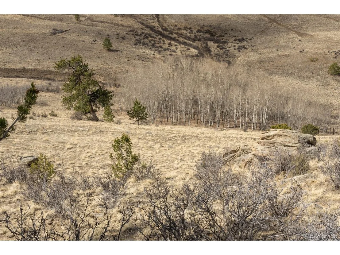 Photo of 3750 Singletree Rd