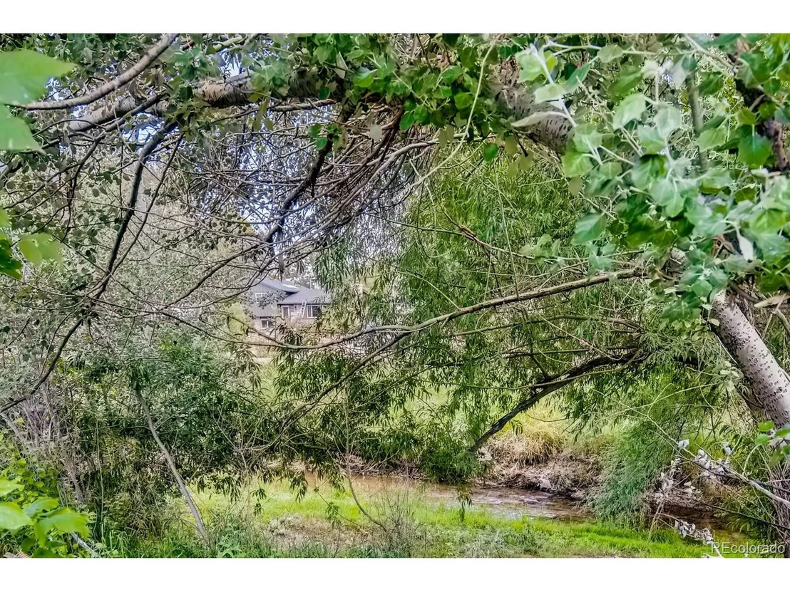 Photo of 1331 Lefthand Dr