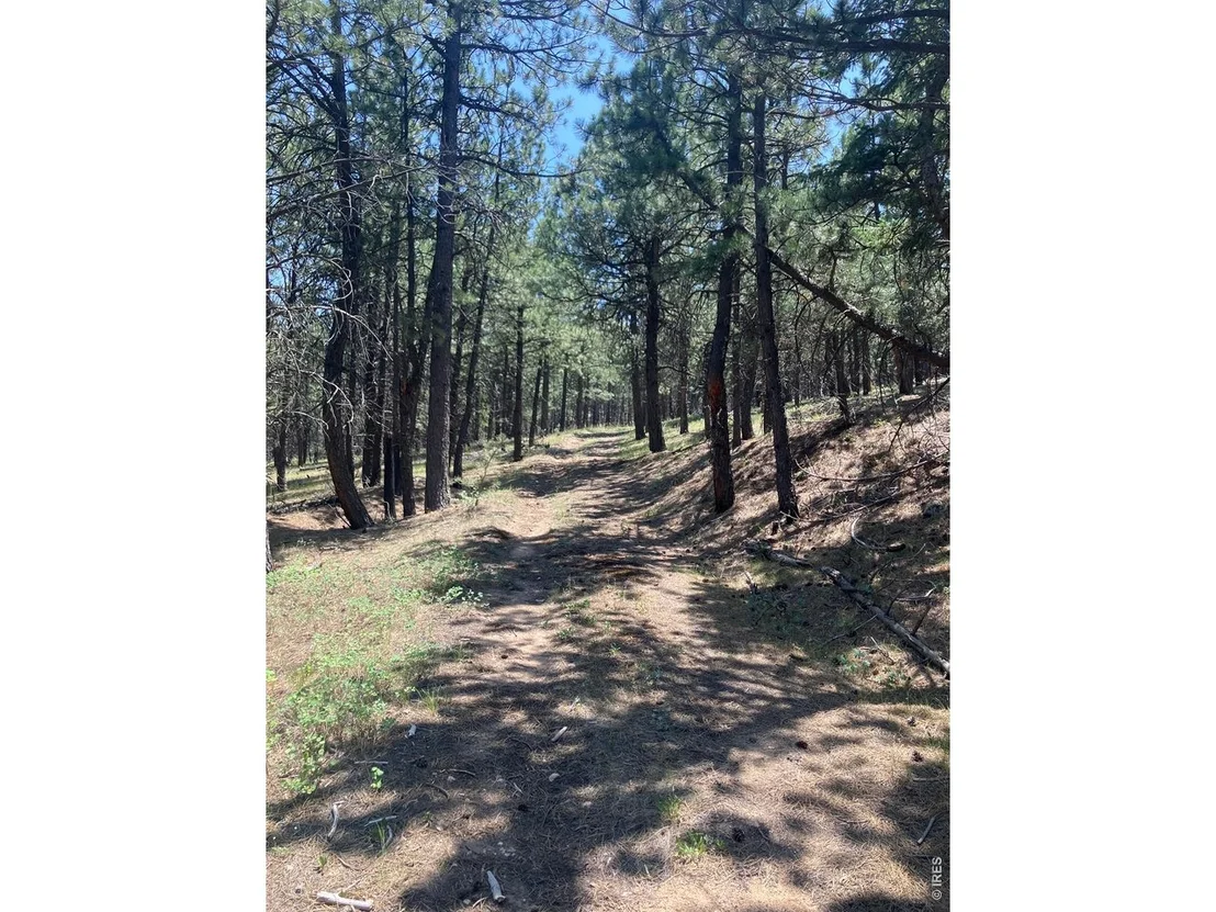 Photo of 5550 Sunshine Canyon Dr