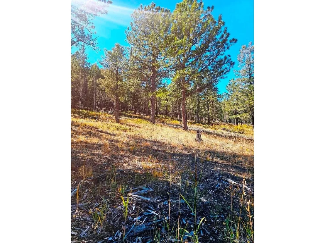 Photo of 1504 County Road 43