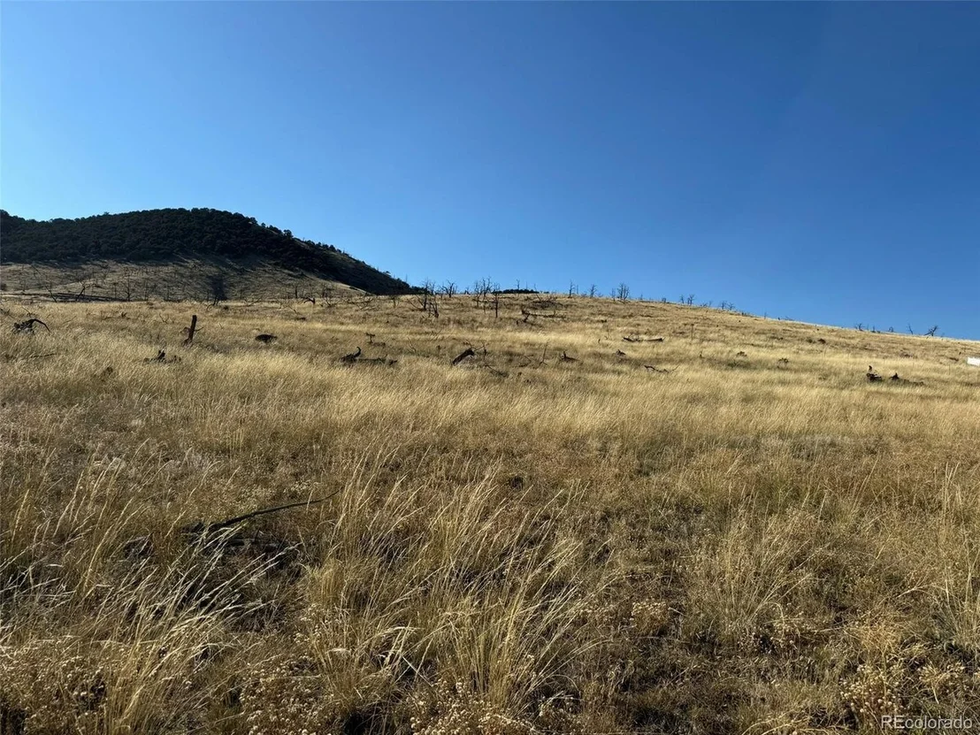 Photo of 50 Copper Gultch Road