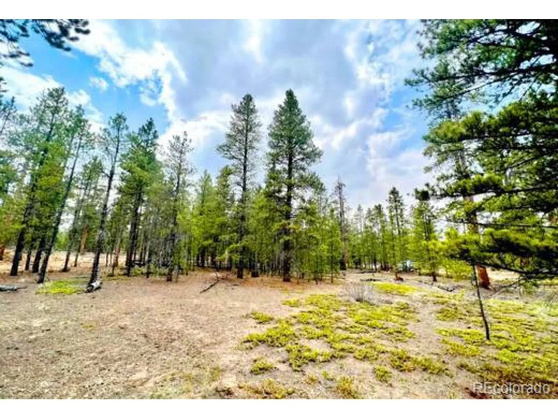 Photo of 275 Mt Elbert Dr