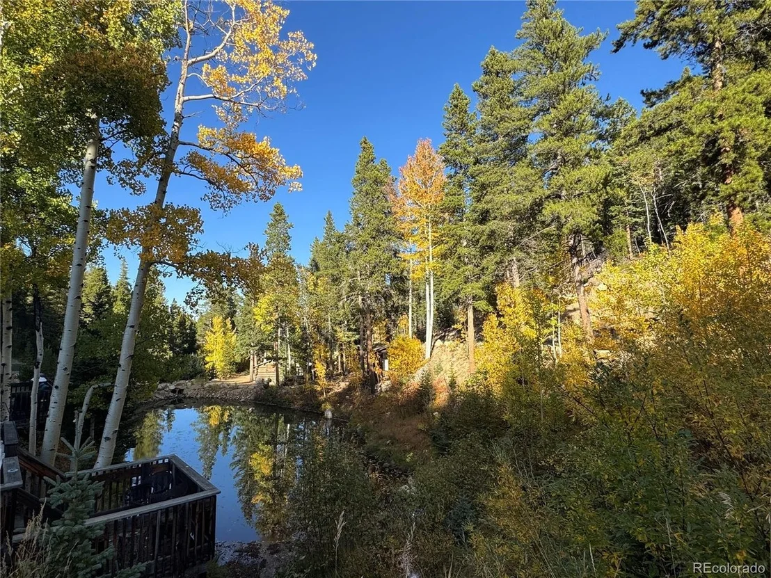 Photo of 1430 Lower Travis Gulch Rd