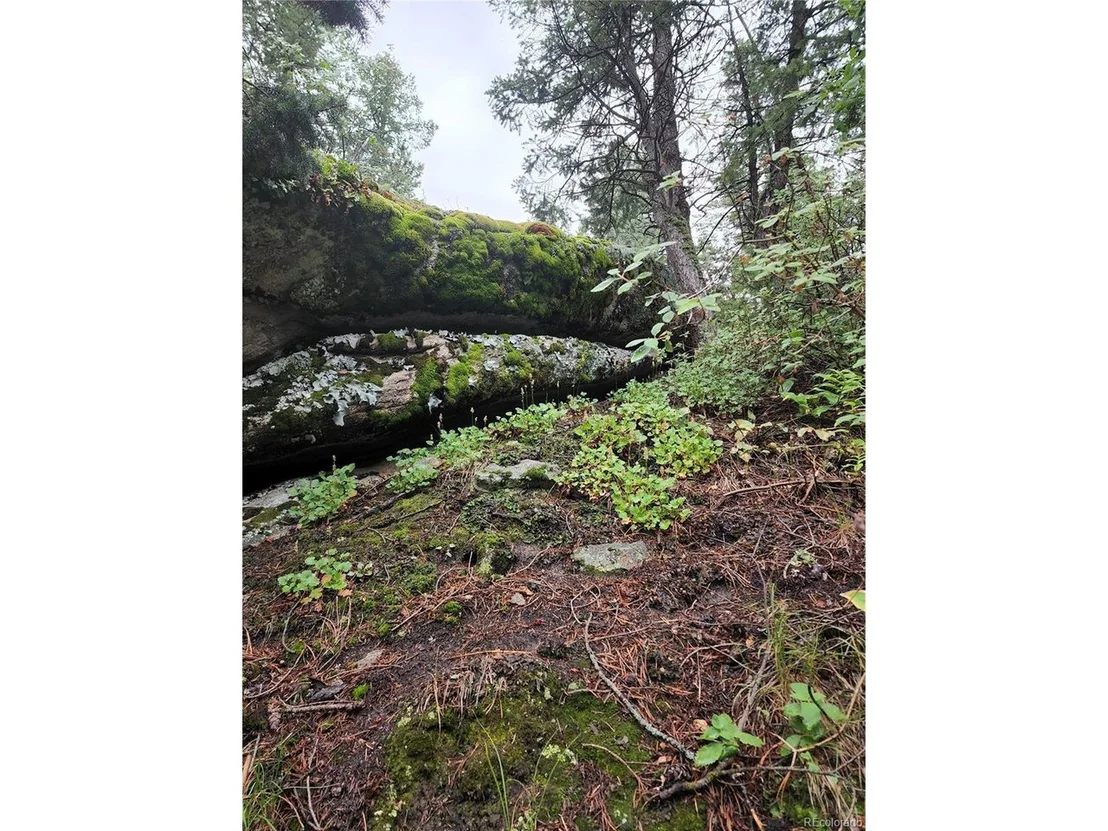 Photo of 31429 Burke Rd