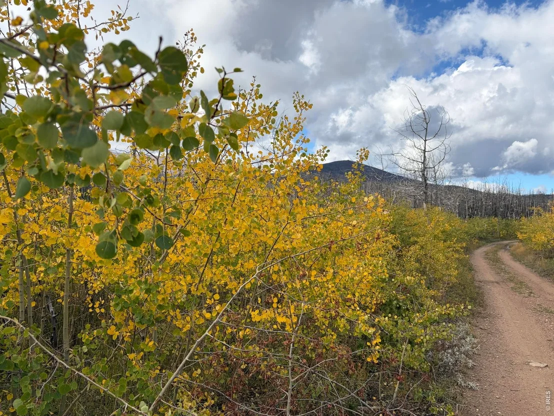 Photo of 2025 Granite Rd
