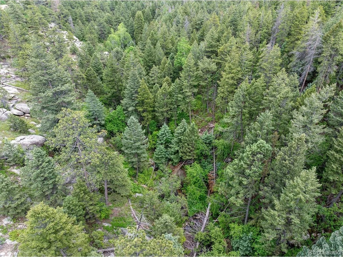 Photo of 31429 Burke Rd