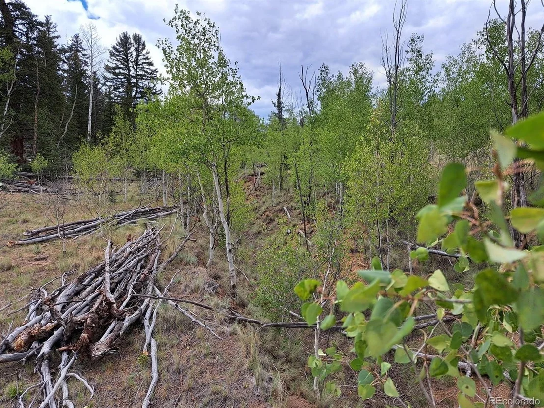 Photo of 6206 Remington Rd