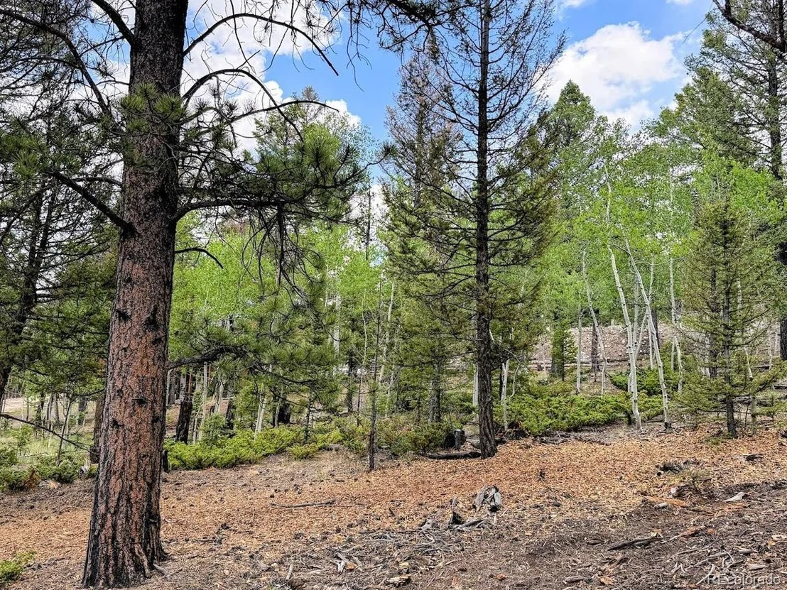 Photo of 1789 Bellows Rd