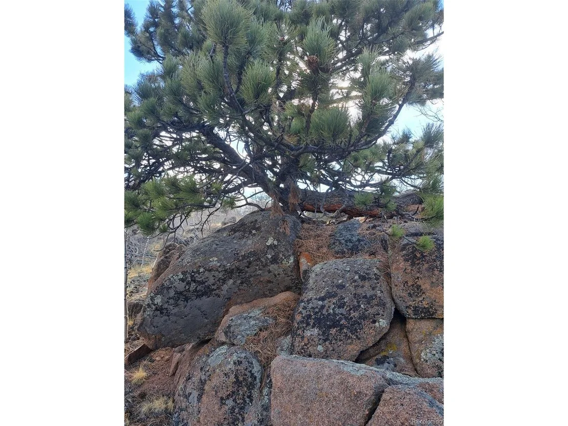 Photo of 908 Raven Way