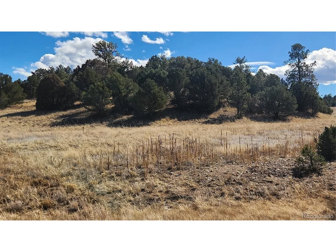 Photo of 311 Kit Carson Trl