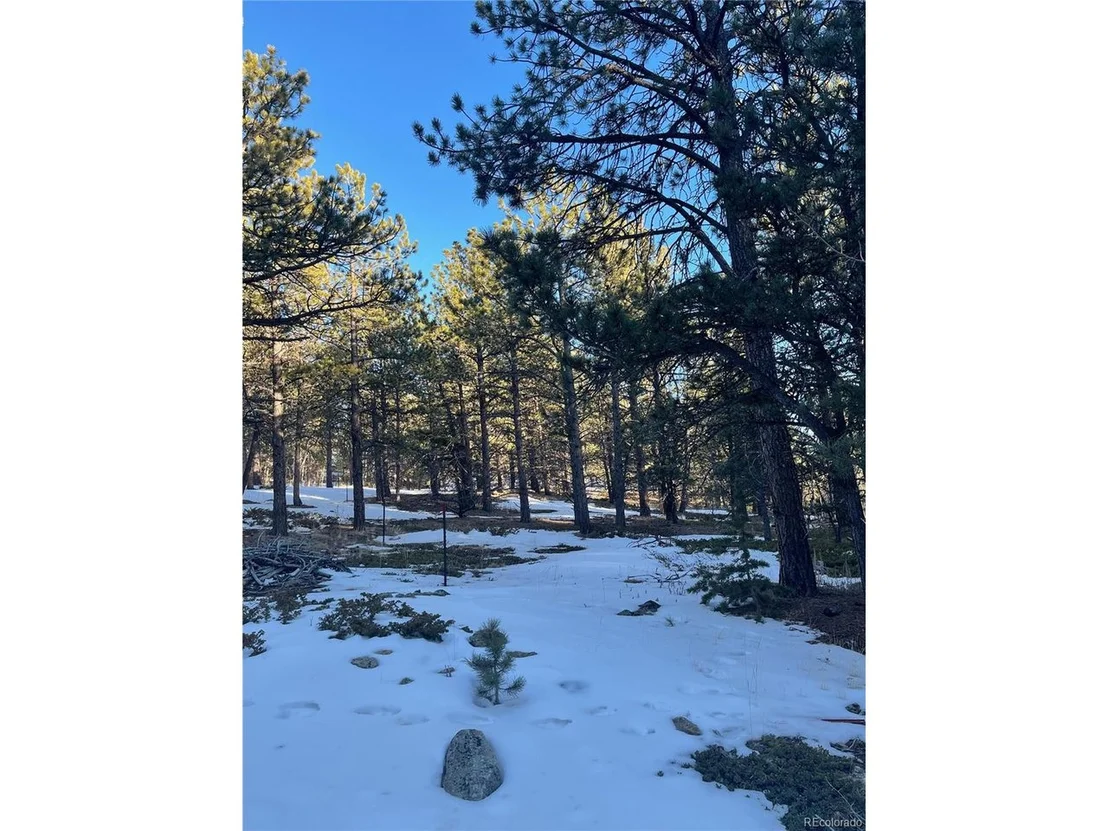 Photo of 275 Bigbee High Rd