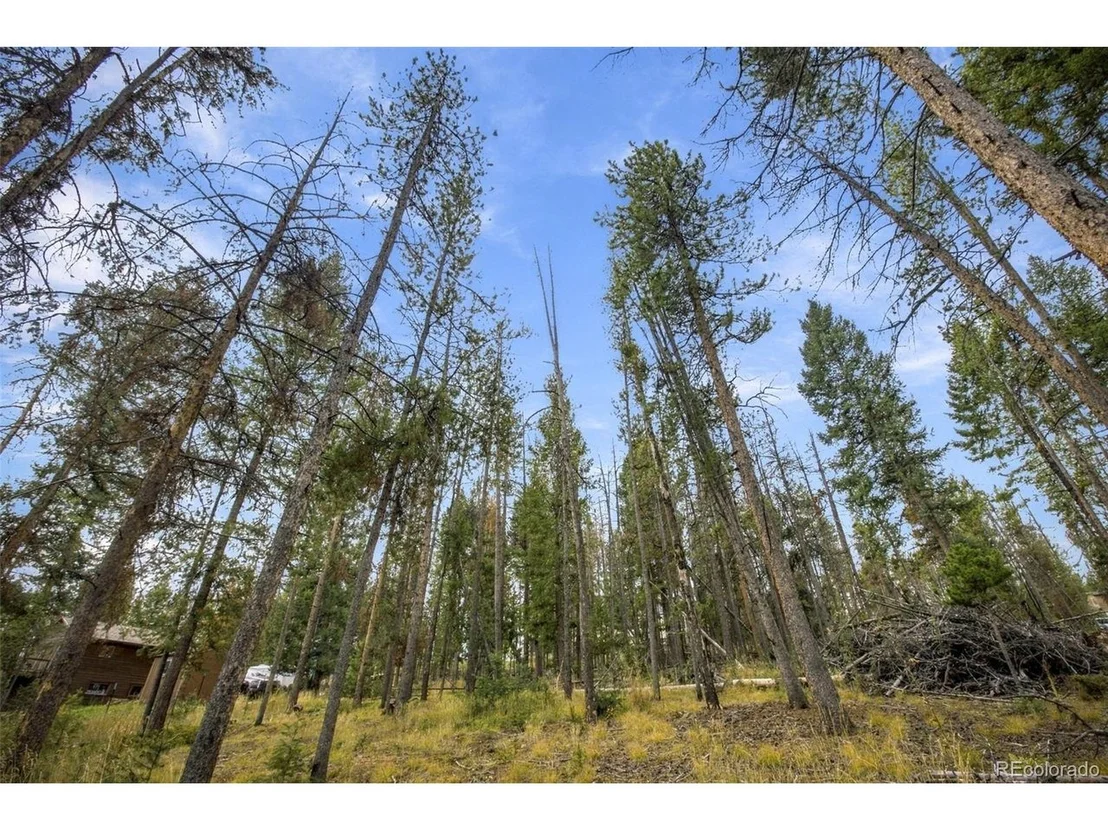 Photo of 27687 Pine Grove Trl