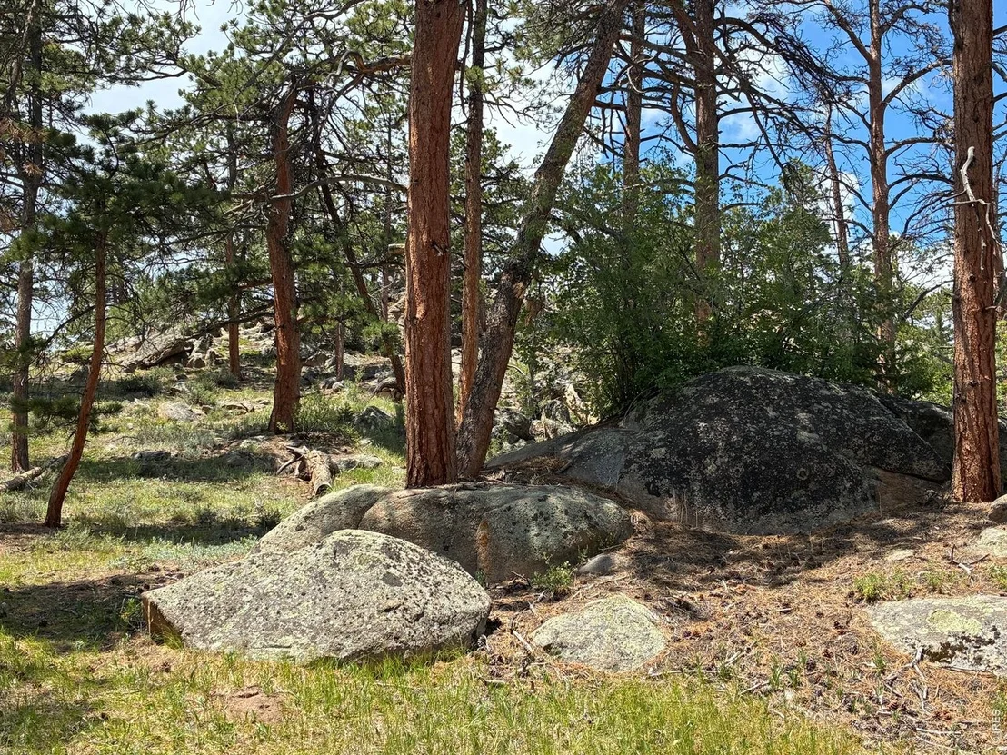 Photo of 79 Alpine Ln