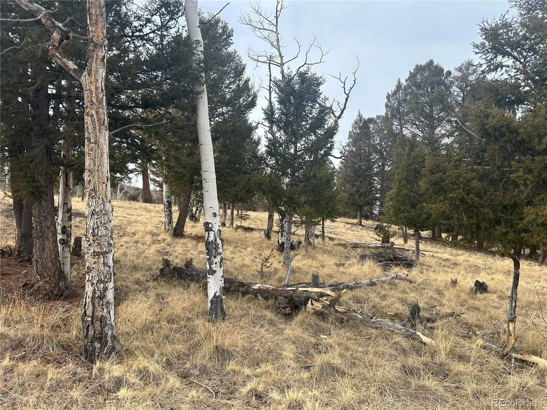 Photo of 1421 Pitchfork Rd