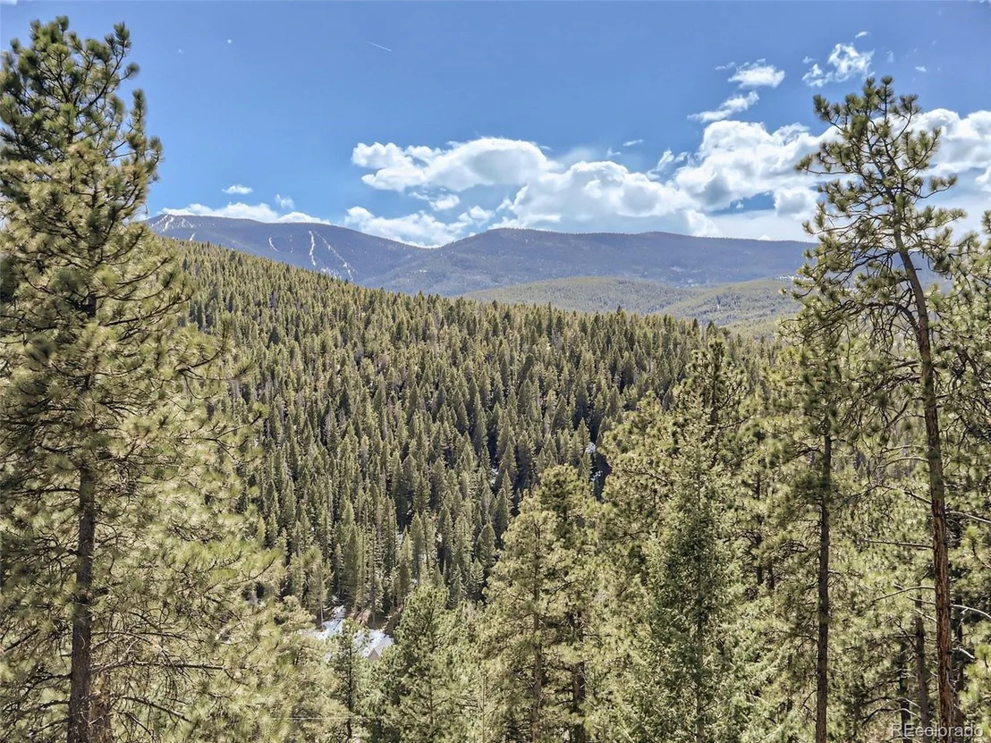 Photo of 32936 Timber Ridge Rd