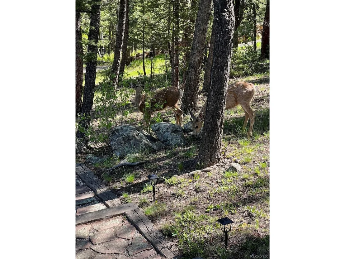 Photo of 25756 Zugspitze Rd
