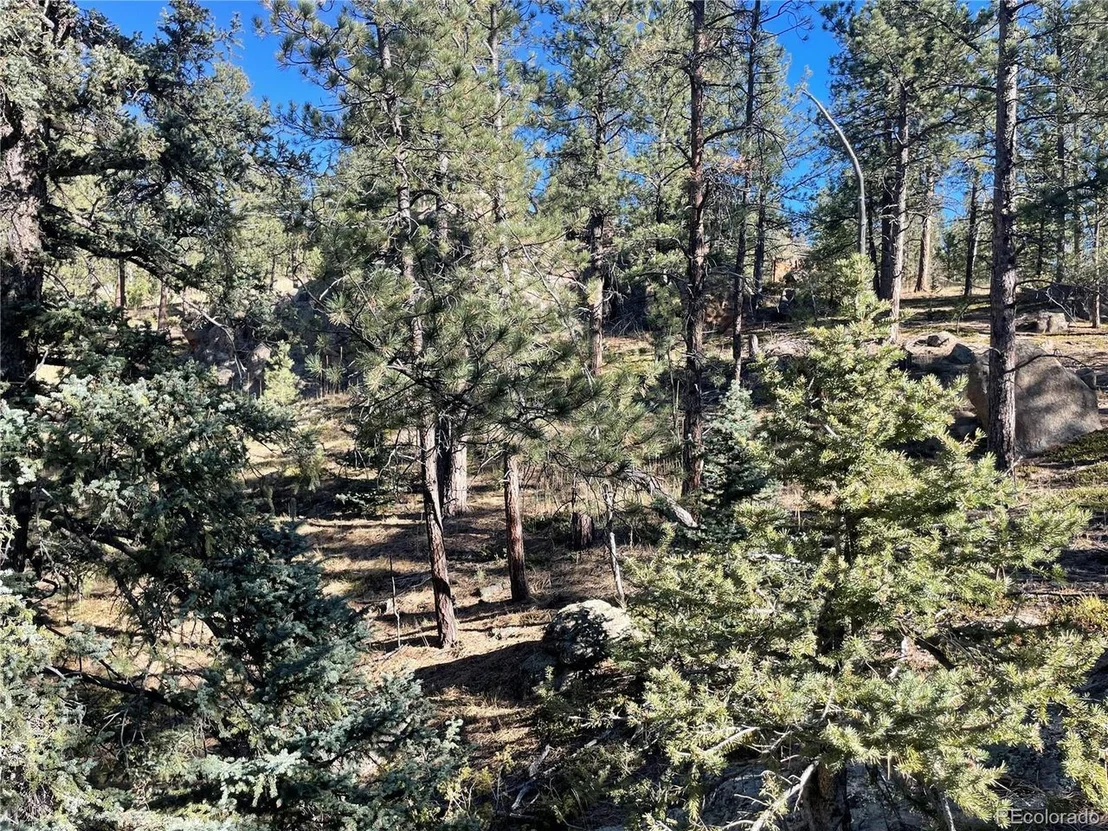 Photo of Shadow Mountain Dr