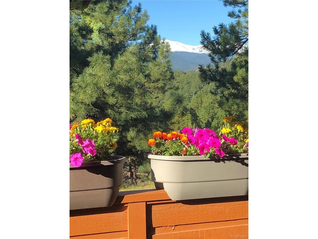 Photo of 155 Bear Dr