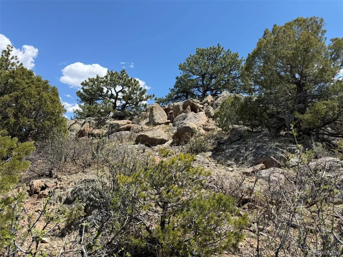 Photo of 477 Bear Peak Rd