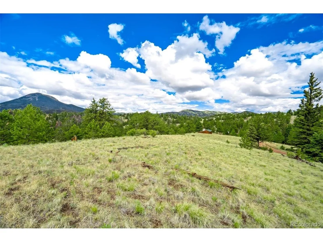 Photo of 75 Deer Run