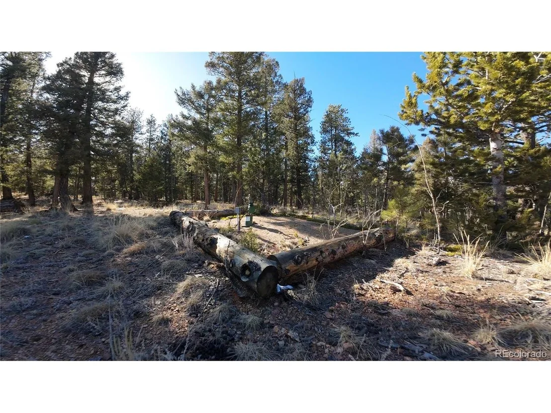 Photo of 927 Forest Dr