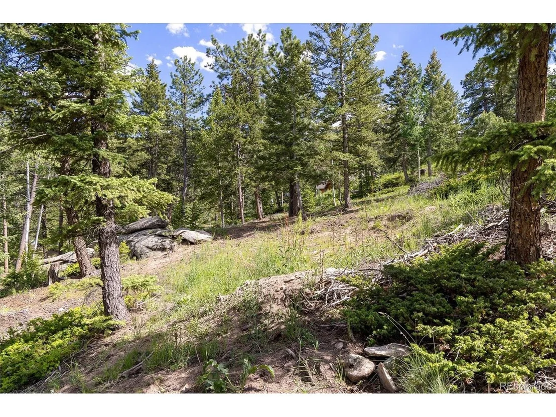 Photo of 31429 Burke Rd