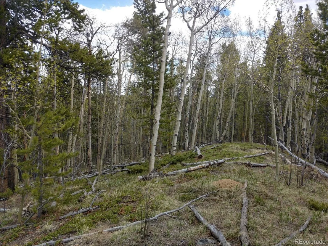 Photo of 317 Ski Doo Rd