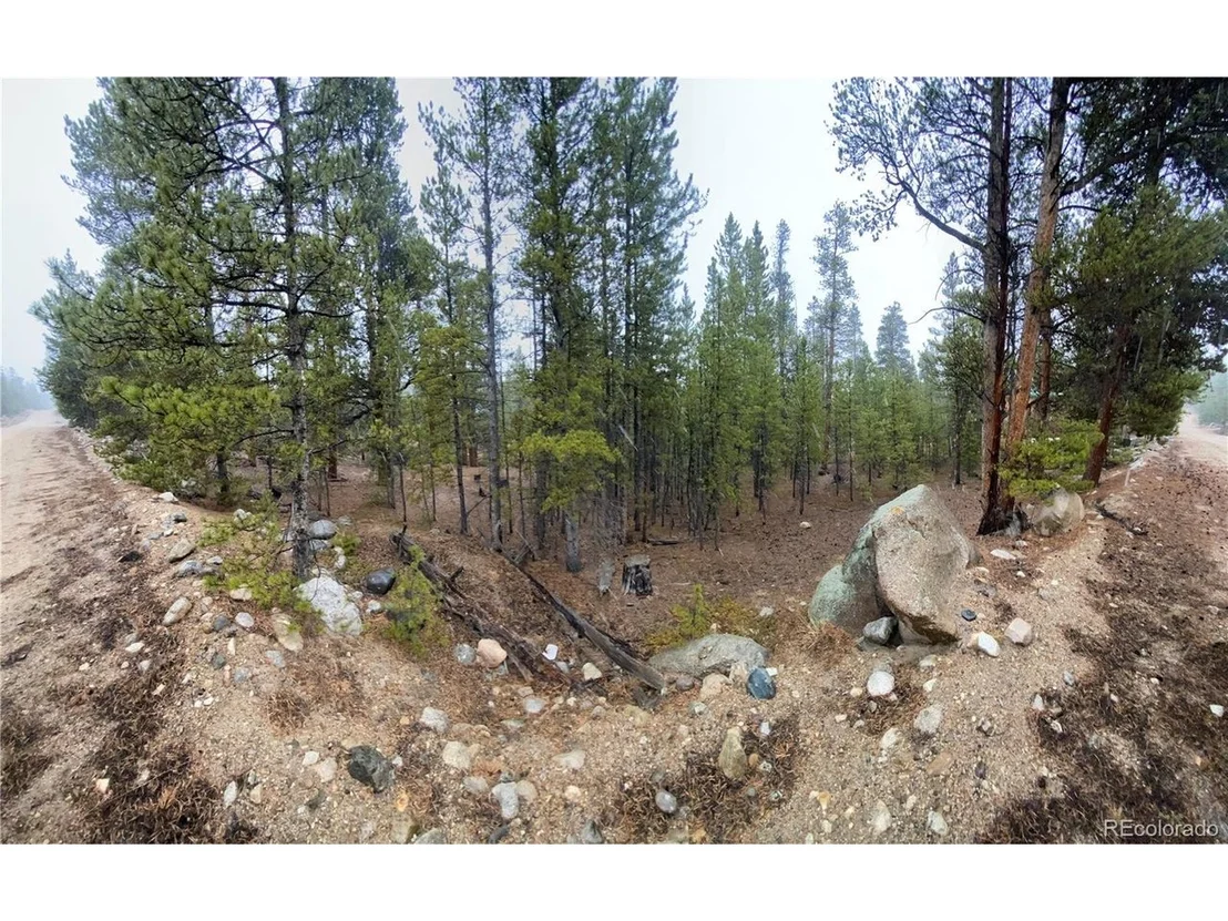Photo of 143 Juniper Dr