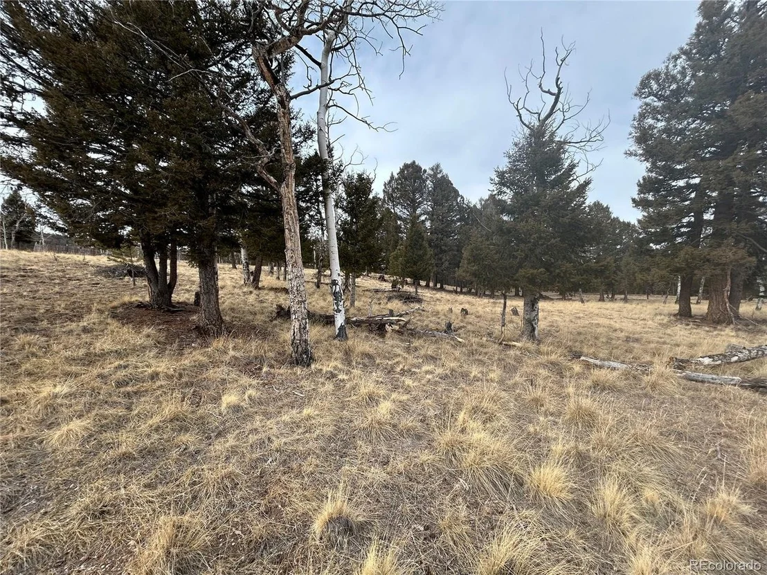 Photo of 1421 Pitchfork Rd