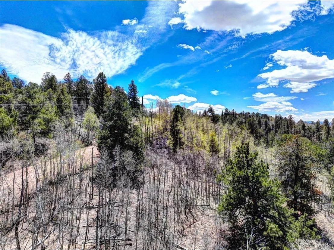 Photo of 194 Bufflehead Cir