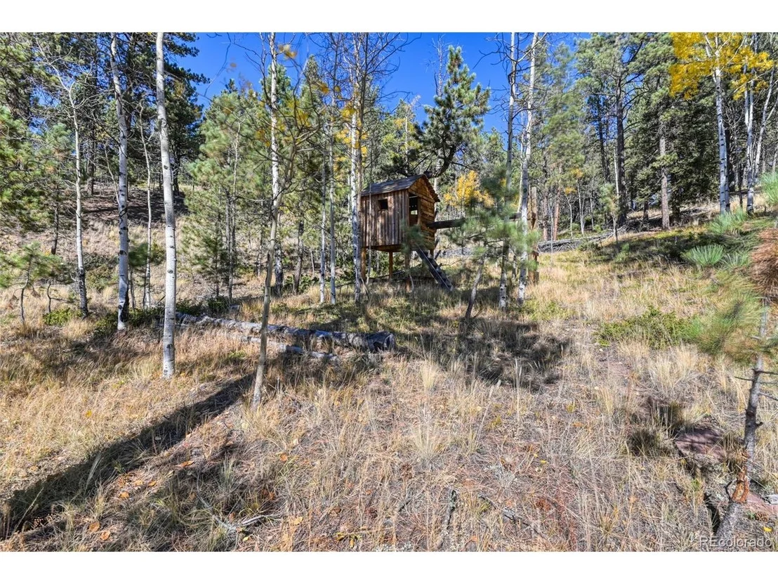 Photo of 1011 W Bison Creek Trl