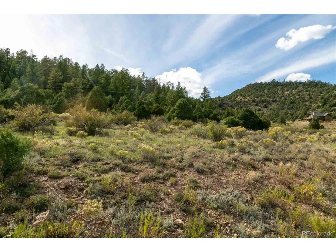 Photo of 963 Bear Creek Cir