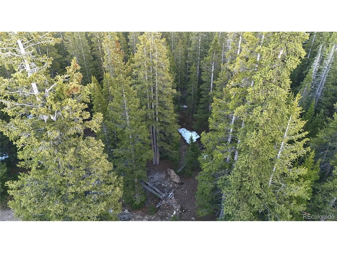 Photo of 252 Silverheels Pl