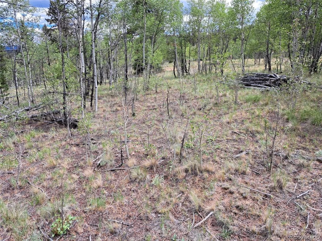 Photo of 6242 Remington Rd