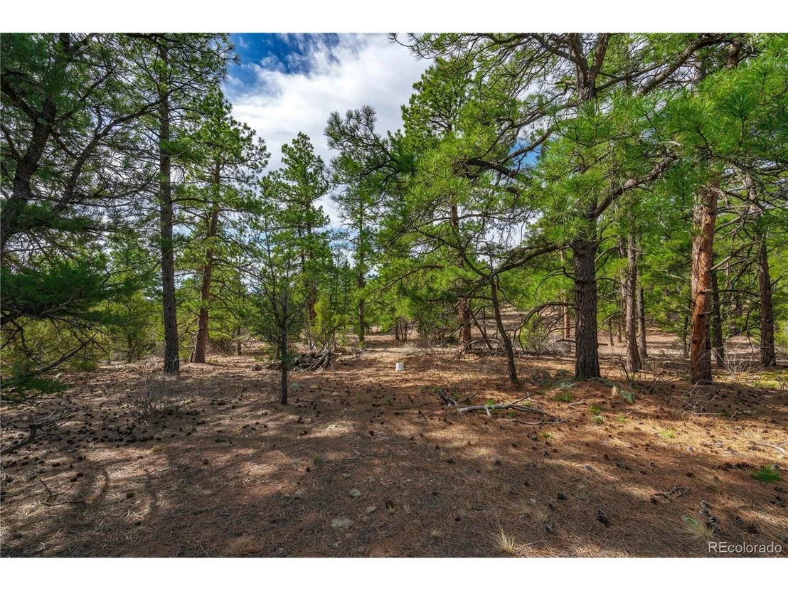 Photo of 870 Oak Dr