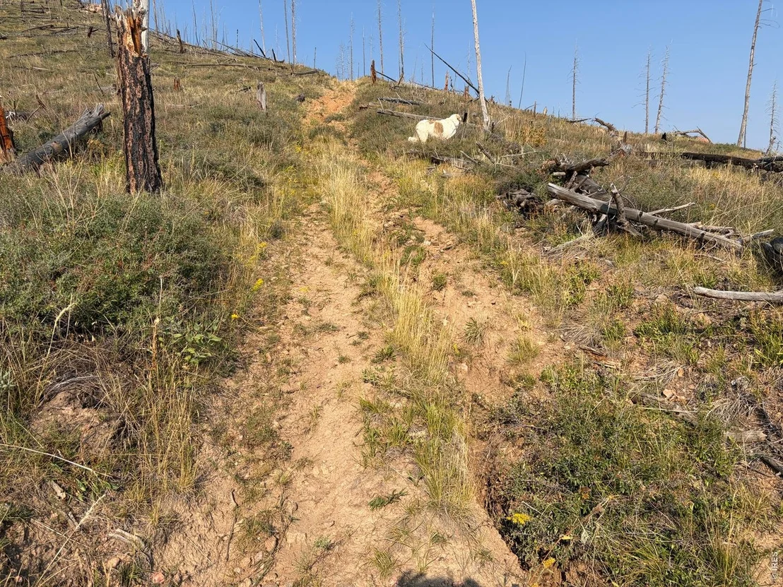 Photo of 0 Pine Acres Rd
