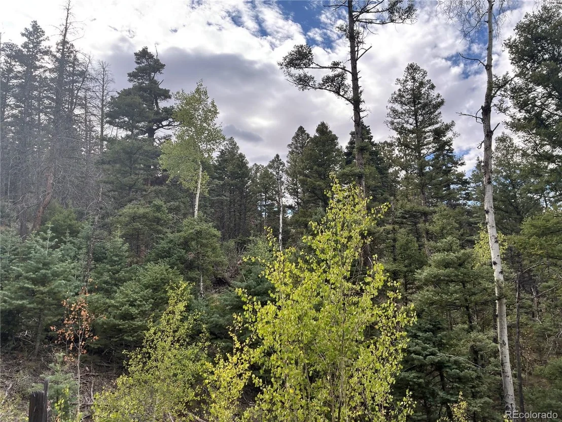 Photo of 5965 Goldstein Rd