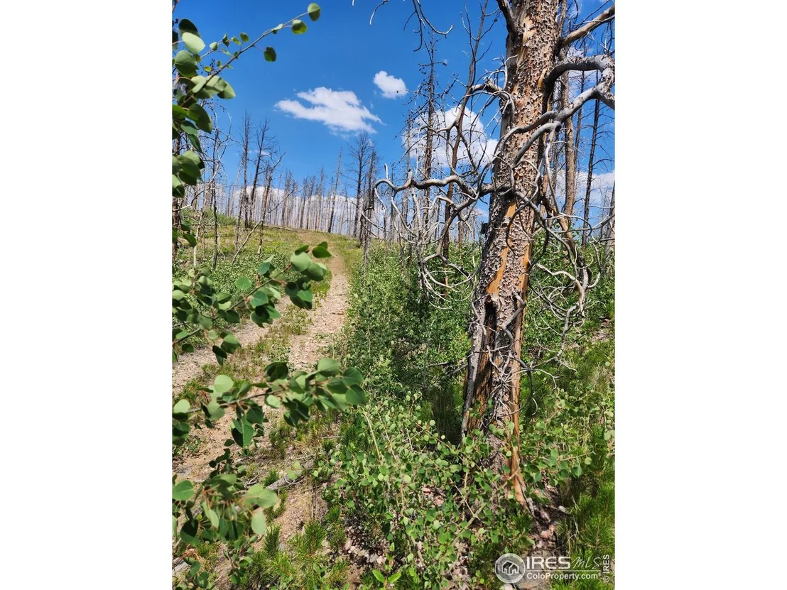 Photo of 963 Crystal Mountain Rd