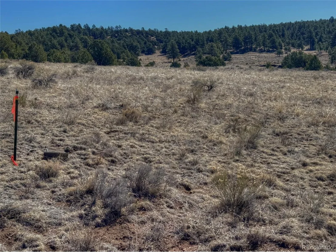 Photo of 885 Crow Rd