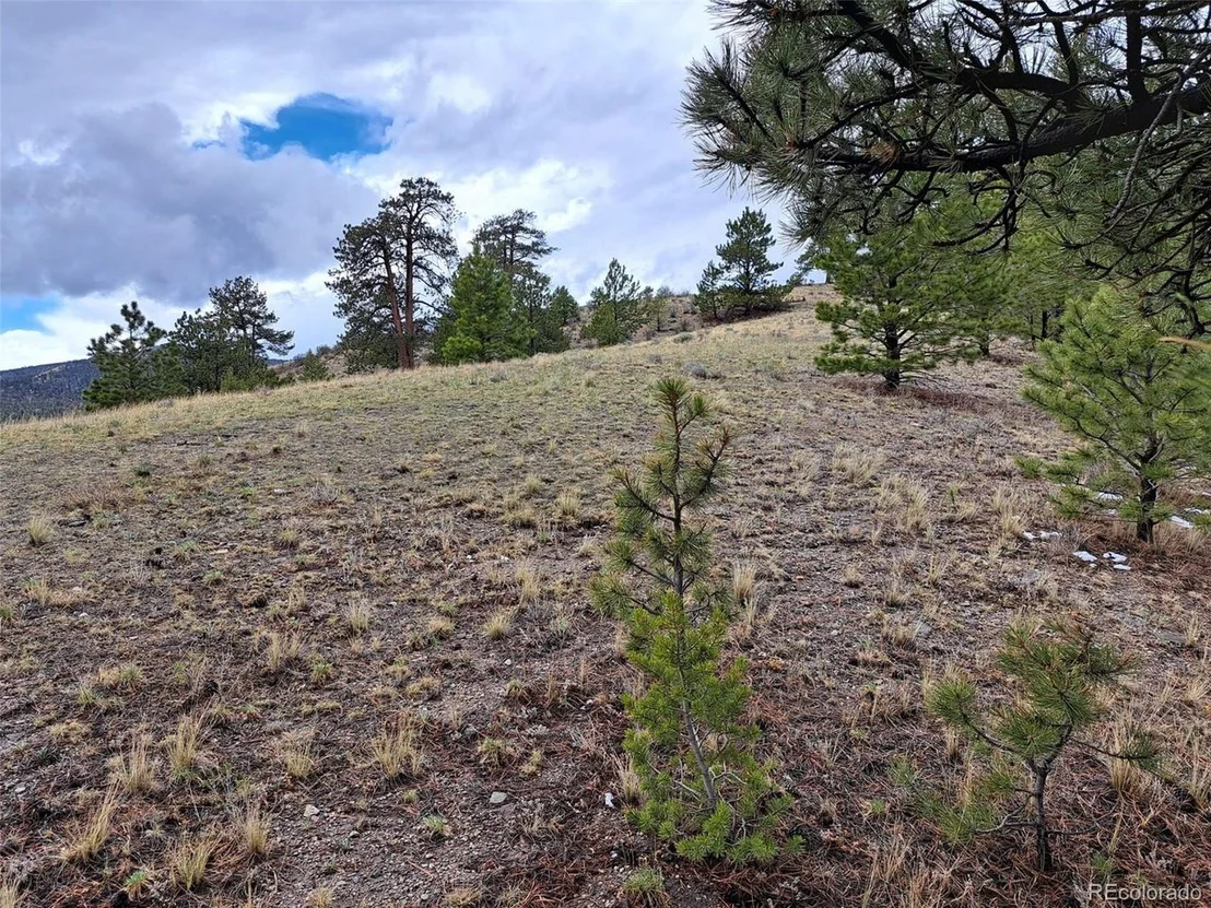 Photo of 783 Remuda