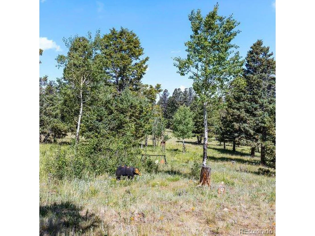 Photo of 5035 Co Road 104