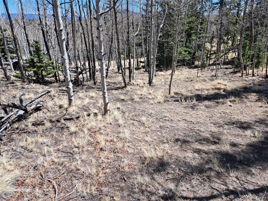 Photo of 730 Tepee Trl
