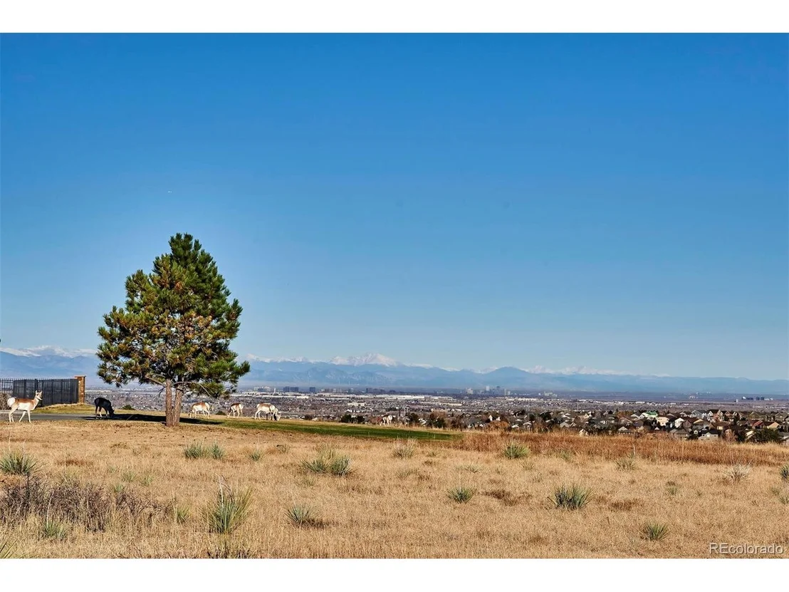 Photo of 7909 Forest Keep Cir