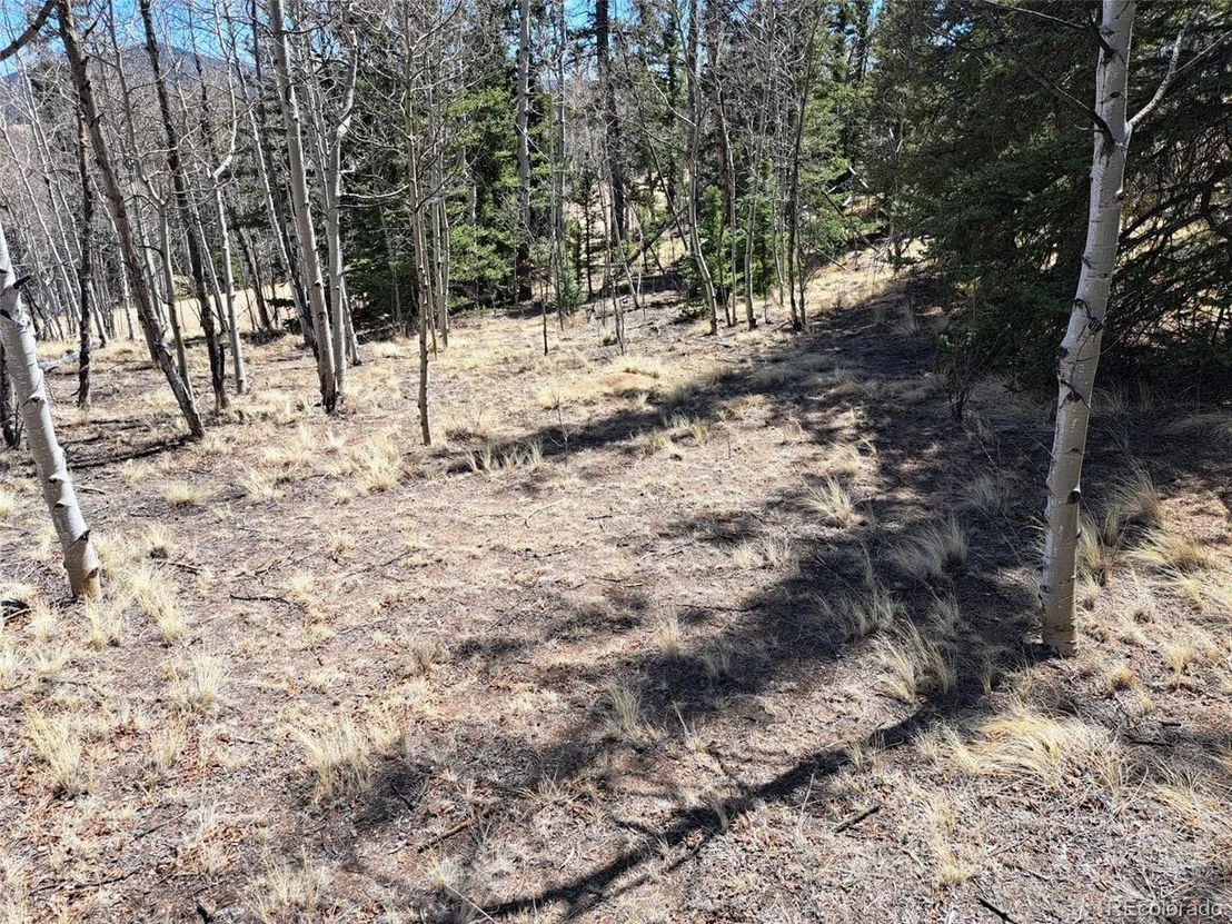 Photo of 730 Tepee Trl