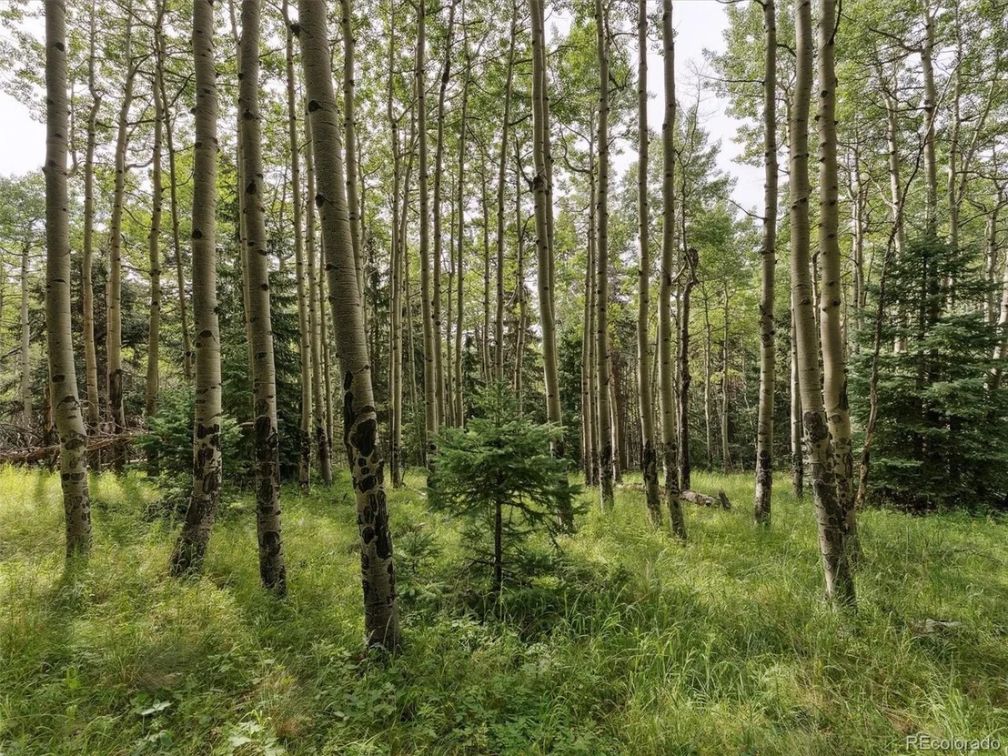 Photo of 0 Snyder Mountain Rd