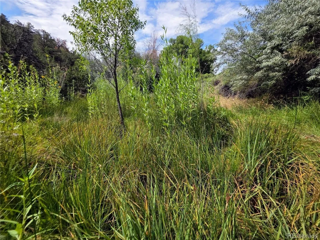 Photo of 291 County Road 51