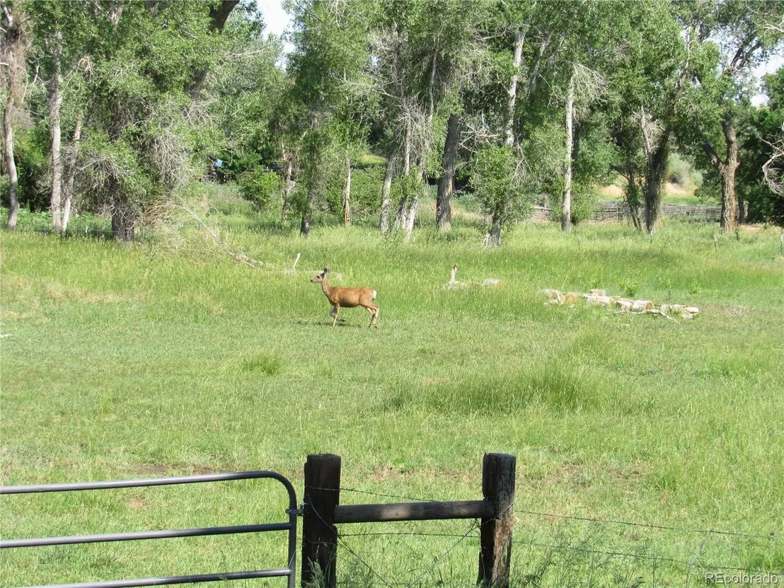 Photo of 10469 County Road 19