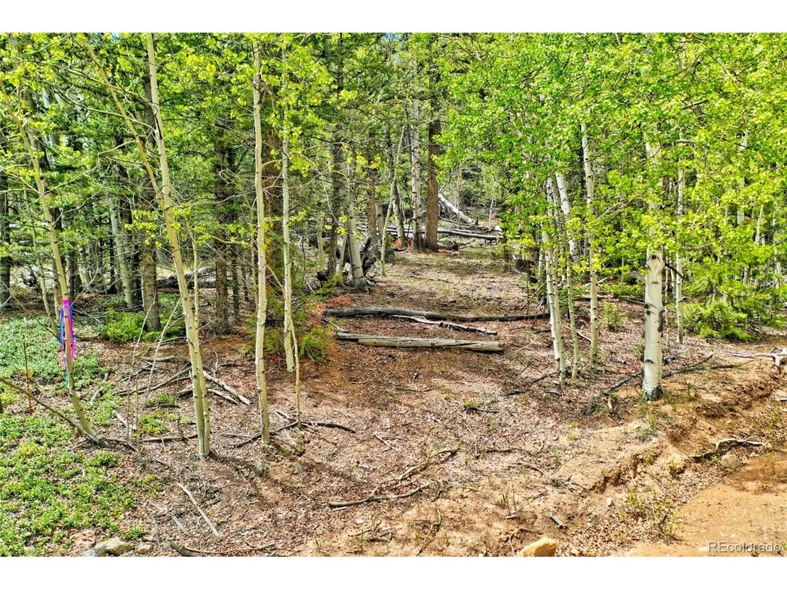 Photo of 28 Old Squaw Rd